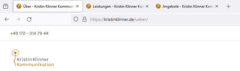 Screenshot vom oberen Bereich eines Browsers, in dem drei Tabs gleichzeitig geöffnet sind. Die einzelnen Tabs sind mit eindeutigen Titeln versehen.