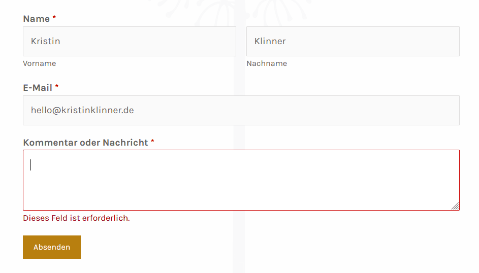 Screenshot eines Kontaktformulars mit Fehlermeldung. Die Fehlermeldung umrandet das auszufüllende Fenster in der Farbe Rot. Unter dem auszufüllenden Fenster steht die Fehlermeldung: „Dieses Feld ist erforderlich.“, ebenfalls in der Farbe Rot.