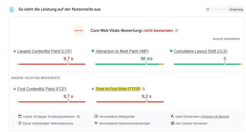 Screenshot aus den Pagespeed Insights: Schlechte Time to first Byte